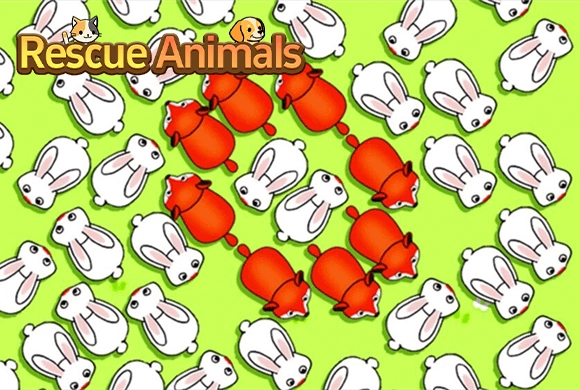 Rescue Animals 
